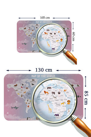 Eğitici Dünya Haritası Dünya Atlası Çocuk ve Bebek Odası Kaliteli Duvar Sticker 3801