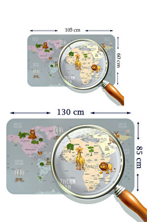 Eğitici Dünya Haritası Dünya Atlası Çocuk ve Bebek Odası Kaliteli Duvar Sticker 3816