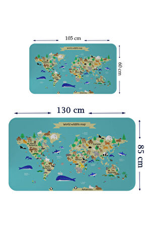 Eğitici Dünya Haritası Dünya Atlası Çocuk ve Bebek Odası Kaliteli Duvar Sticker 3829
