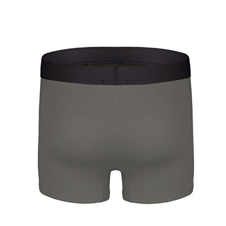 DarkZone Dznbm 2001-2002-2003-2004-2007-2008 Erkek Bambu Boxer