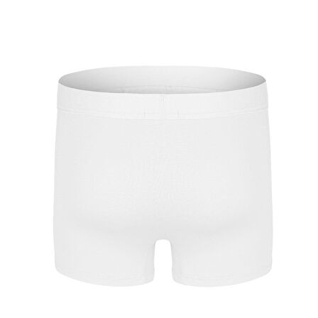 DarkZone Dznbm 2001-2002-2003-2004-2007-2008 Erkek Bambu Boxer