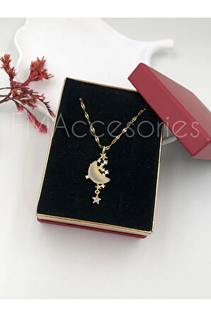 Çelik Kadın Kolye Paslanmaz 14k Gold 45 cm Ay Kolye Çelik Antialerjik HEDİYE KUTULU