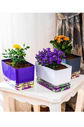 Akıllı Saksı 3 Lü Dekoratif Dikdörtgen Akıllı Saksı