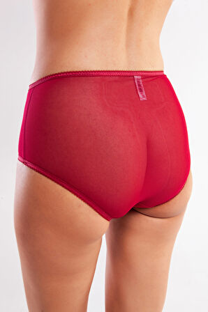 Golshan Gaspara Control Slip, Kadın Güpürlü Tül Şarap Renkli Yüksek Bel Külot