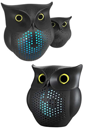 Gromofon Görünümlü Hoparlör