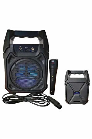 Karaoke Mikrofonlu Fm Radyolu Bluetooth Hoparlör Yüksek Ses Kaliteli