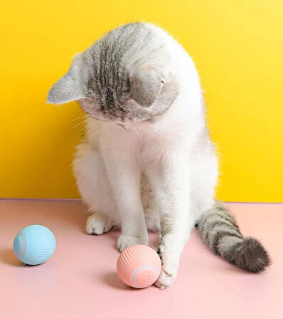 Interaktif Şarjlı Kedi Köpek Topu, Led Akıllı Kedi Topu, Kendinden Hareketli 360 Kedi Oyuncağ
