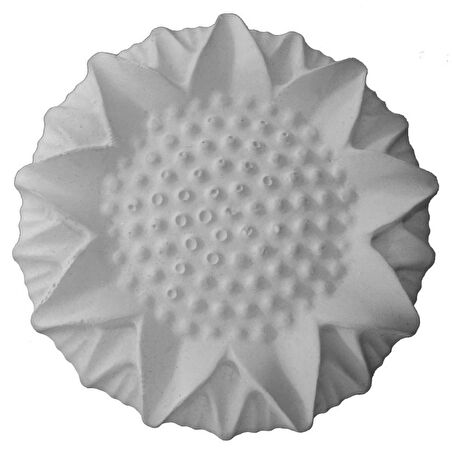 Kuşlar için 10 Adet Birevcil Gaga Taşı Kutusuz