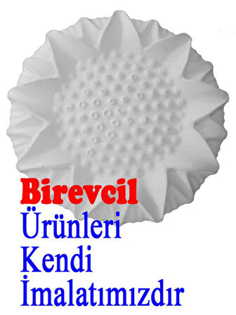 Kuşlar için 10 Adet Birevcil Gaga Taşı Kutusuz