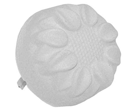 Kuşlar için 10 Adet Birevcil Gaga Taşı Kutusuz