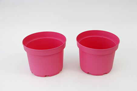 Pembe Saksı 10 Adet