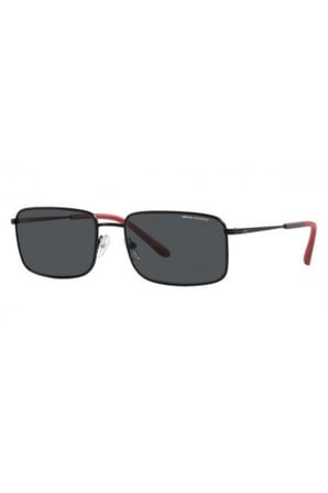 ARMANI EXCHANGE 2044S 600087 58 Güneş Gözlüğü