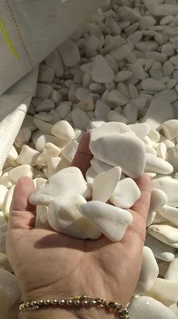 Beyaz Dolomit Taşı 5 Kg 2-4 CM | Saksı Üstü Dekoratif Çakıl Taşı | Teraryum Bahçe Peyzaj ve Akvaryum Taş