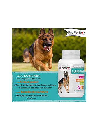 PRO PERFECK KÖPEK GLUKOSAMIN 75 TABLET