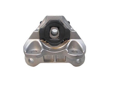 ŞANZUMAN TAKOZU 31633 EGEA (356,357) SEDAN SW 52010881 52095981 GOLD