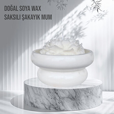 Saksılı Şakayık %100 Doğal Sandal Kokulu Soya Wax Dekoratif Mum