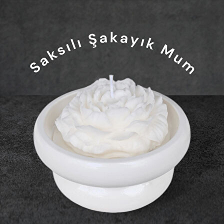 Saksılı Şakayık %100 Doğal Sandal Kokulu Soya Wax Dekoratif Mum