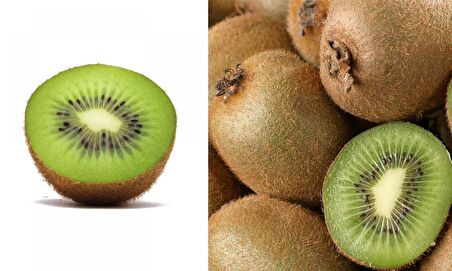 Hayward Kivi Fidanı (Erkek)