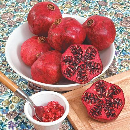 Hicaz Nar Fidanı Tüplü 3 Adet