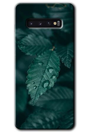 Galaxy S10 Kılıf HD Desen Baskılı Arka Kapak - Yağmurlu Yaprak 