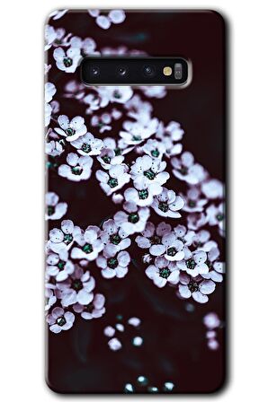 Galaxy S10 Kılıf HD Desen Baskılı Arka Kapak - Beyaz Çiçek 