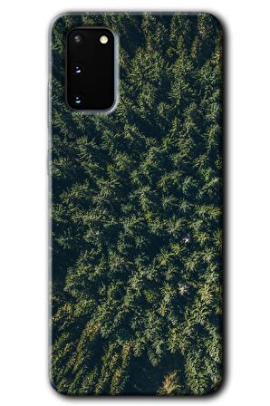 Galaxy S20 Kılıf HD Desen Baskılı Arka Kapak - Çam Ağacı Ormanı 