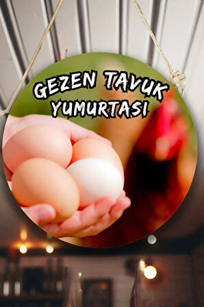 Gezen Tavuk Yumurtası Dükkanı Duvar, Kapı, Çift Taraflı Askılı Karşılama Tabela, Günlük Yumurta Süs
