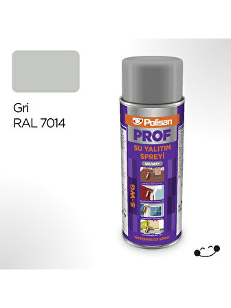 Polisan Prof Gri Su Yalıtım Spreyi (s-wg) 500 Ml