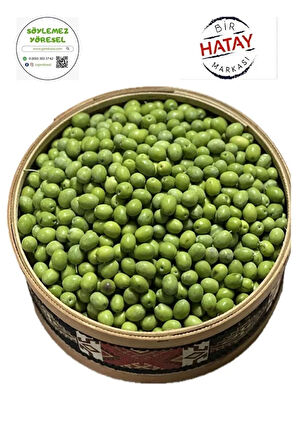 Ham Zeytin Yeşil Zeytin (2025 Yeni Mahsül) Kendi Zeytinini Kendin Yap