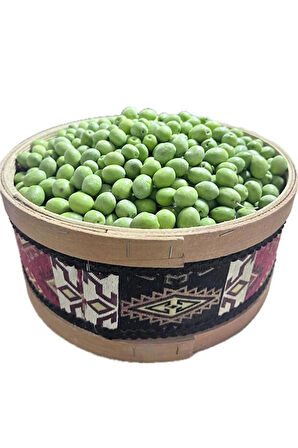Ham Zeytin Yeşil Zeytin (2025 Yeni Mahsül) Kendi Zeytinini Kendin Yap