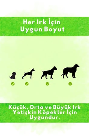 Dana Gırtlak Çiğnemelik Köpek Ödül Maması %100 Doğal, Glutensiz, Organik 100 gr 