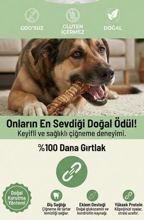 Dana Gırtlak Çiğnemelik Köpek Ödül Maması %100 Doğal, Glutensiz, Organik 100 gr 