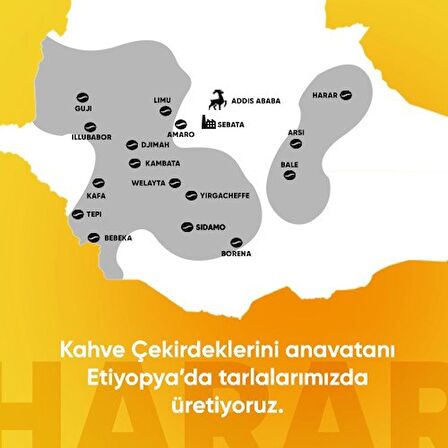 Harar Blend 250 Gr. Çekirdek Kahve
