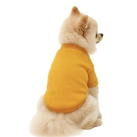 Gedyco Hardal Küçük Irk Köpek Likralı Triko