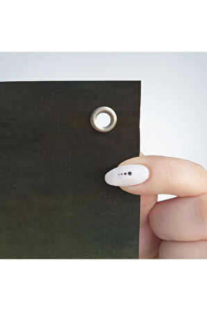 Rus imparatorluğu Generali Alexander Vladimirovich Adlerberg Duvar Örtüsü-Halısı-6359