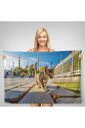 Sultan Ahmet Camii Önündeki Yavru Kedi Duvar Örtüsü-Halısı-6507