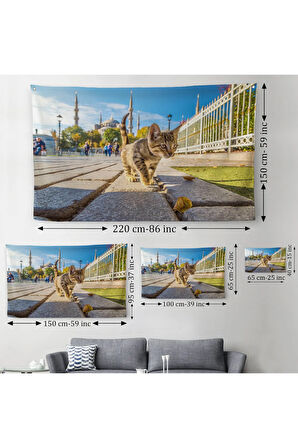 Sultan Ahmet Camii Önündeki Yavru Kedi Duvar Örtüsü-Halısı-6507