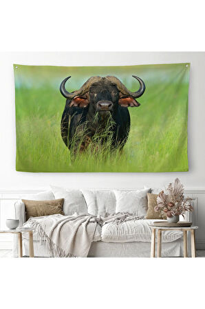 Asya Mandası Duvar Örtüsü-Halısı-6511