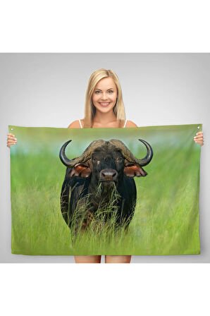 Asya Mandası Duvar Örtüsü-Halısı-6511