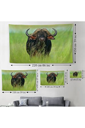 Asya Mandası Duvar Örtüsü-Halısı-6511