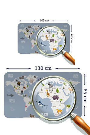 Harita Sepeti Eğitici Dünya Haritası Dünya Atlası Çocuk Ve Bebek Odası Duvar Sticker 3789