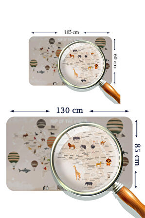Harita Sepeti Eğitici Dünya Haritası Dünya Atlası Çocuk ve Bebek Odası Duvar Sticker 3792