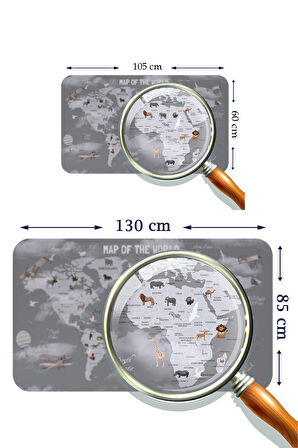 Harita Sepeti Eğitici Dünya Haritası Dünya Atlası Çocuk ve Bebek Odası Duvar Sticker 3811