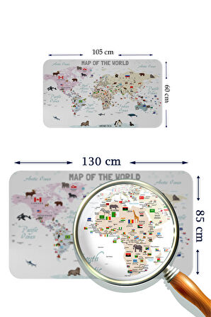 Harita Sepeti Eğitici Öğretici Dünya ve Türkiye Haritası Çocuk Odası Duvar Sticker 3884