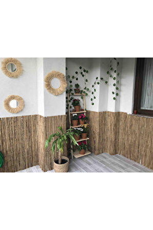 60 cm x 3 metre Kamış Kamış Hasır Balkon Çiti