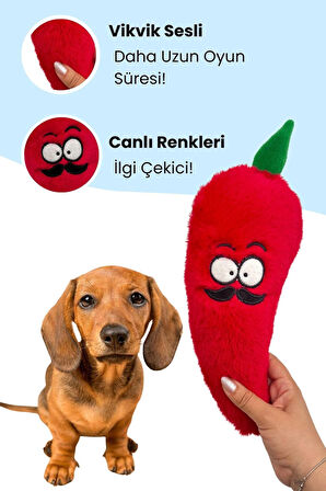 Havhav Tombik Biber Köpek Oyuncağı