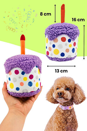 Köpek Parti Kutusu | Parti Şapkası, Peluş Pasta, Peluş Hediye Kutusu