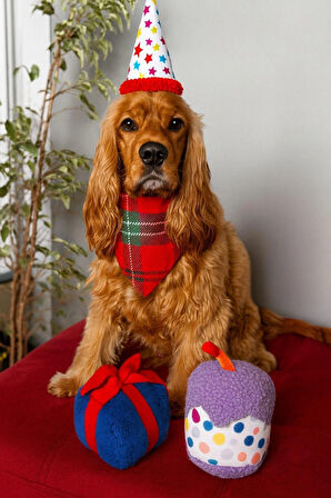 Havhav Peluş Pasta Köpek Oyuncağı