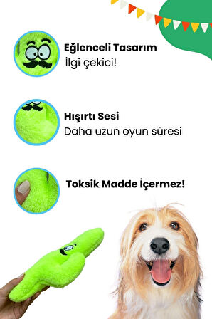 Havhav Meksika Temalı Köpek Oyuncak Seti Hışırtı Sesli Kaktüs Ve Vikvik Sesli Peluş Köpek Oyuncakları