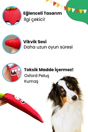 Havhav Meksika Temalı Köpek Oyuncak Seti Hışırtı Sesli Kaktüs Ve Vikvik Sesli Peluş Köpek Oyuncakları